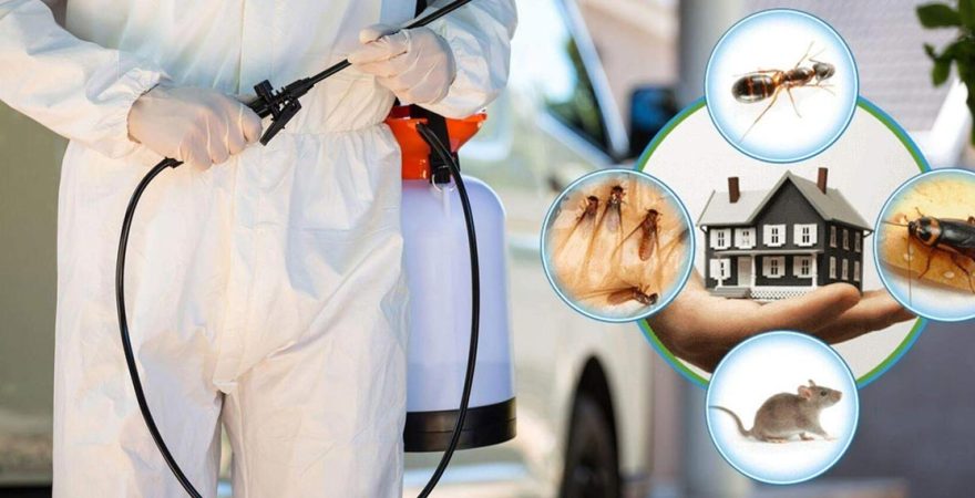 Karşıyaka Böcek İlaçlama