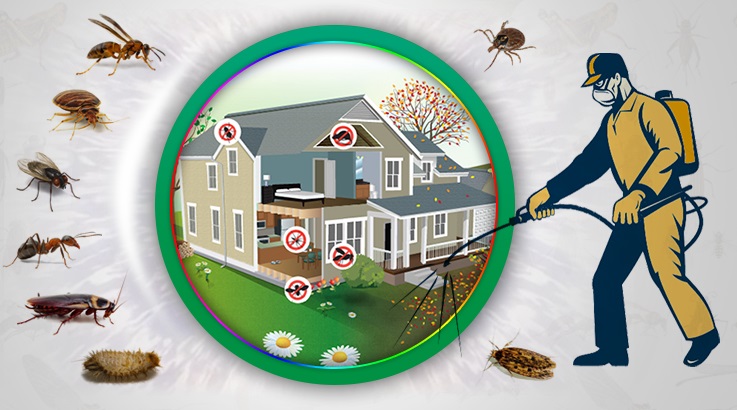 Karşıyaka Böcek İlaçlama