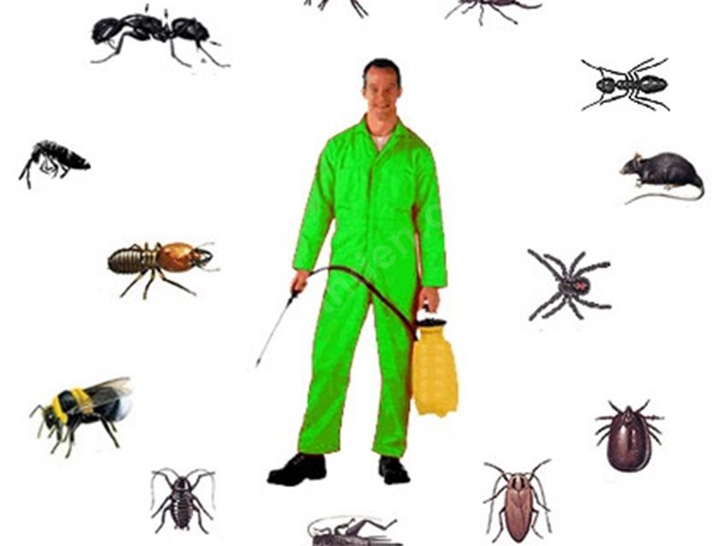 Karşıyaka Böcek İlaçlama